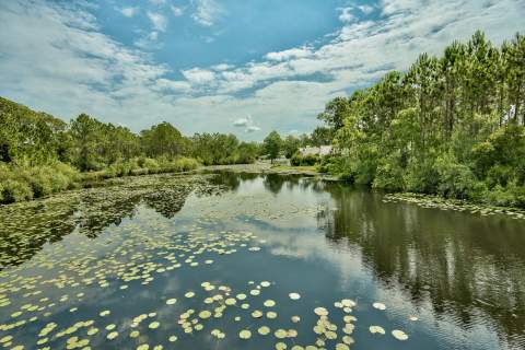 231 Somerset Bridge Road #Unit 2307, Santa Rosa Beach FL - photo 21 of 27
