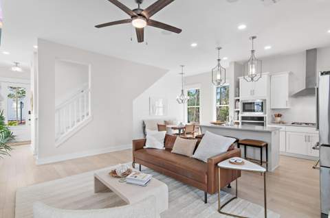 7 Valdare Lane, Inlet Beach FL - photo 7 of 52