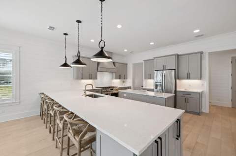 121 Needle Cast Lane, Inlet Beach FL - photo 23 of 63