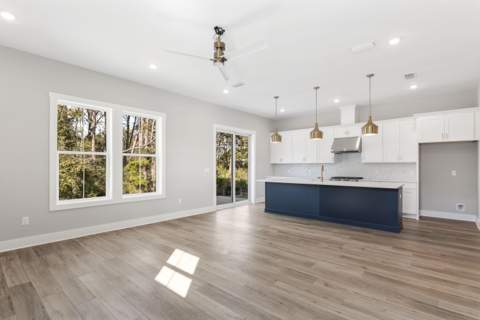 55 Nautilus Coast Drive #Lot 6, Inlet Beach FL - photo 10 of 43