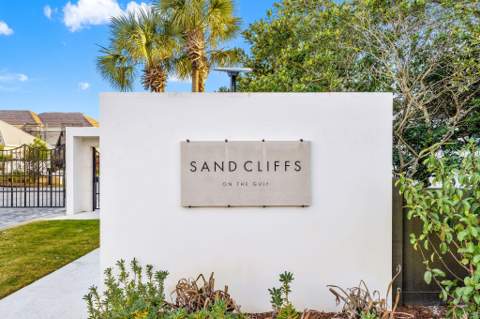 169 Walton Buena Vista Drive, Inlet Beach FL - photo 8 of 77