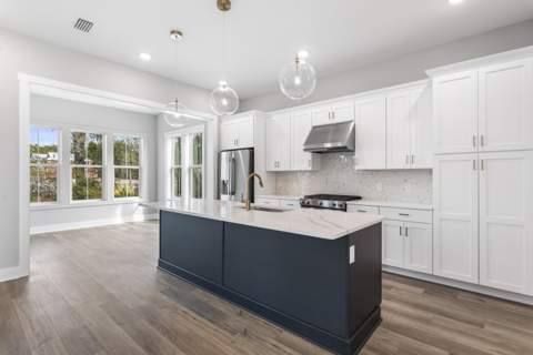 37 Cape Nautilus Lane #Lot 16, Inlet Beach FL - photo 13 of 45