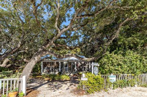 37 Gardenia Street, Santa Rosa Beach FL - photo 10 of 39