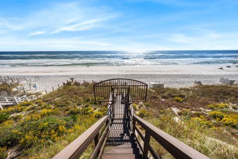 107 Elysee Court, Inlet Beach FL - photo 10 of 69