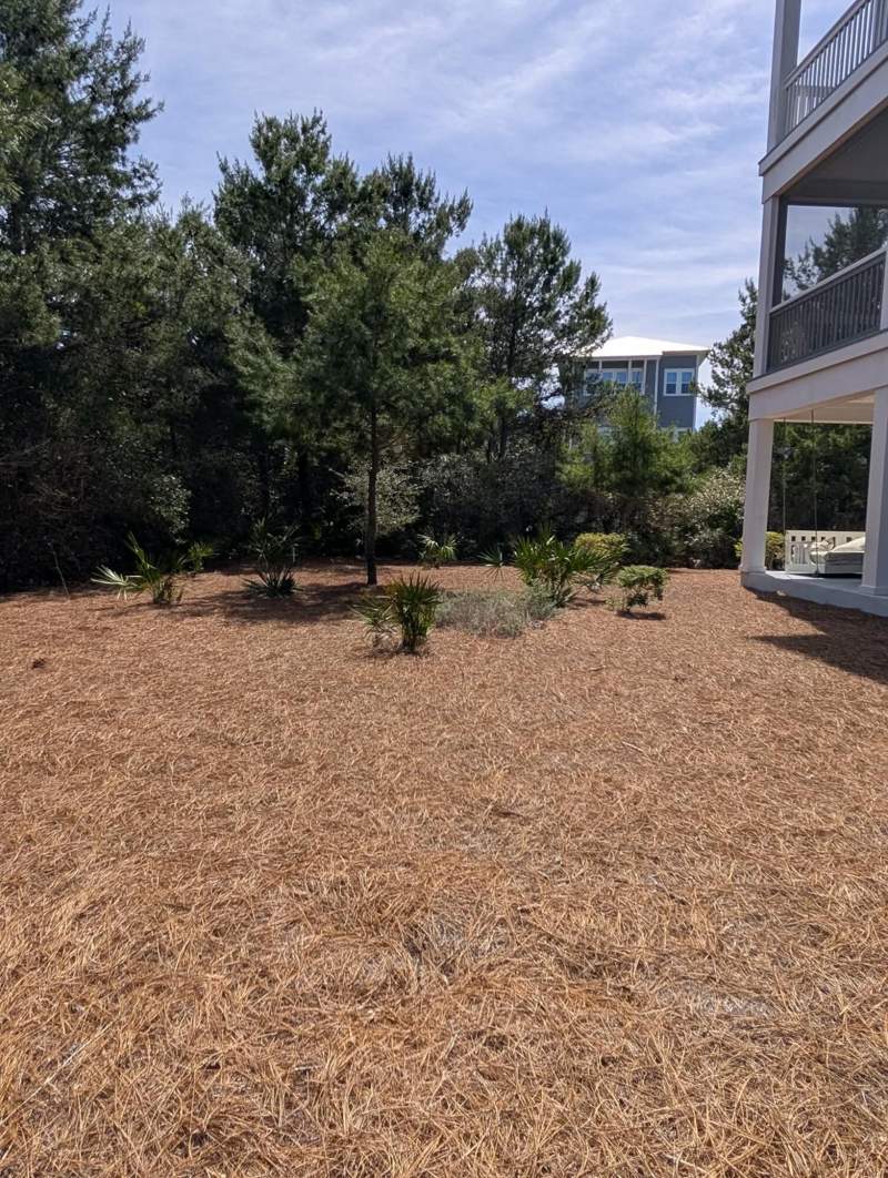 5 bedroom Detached Single Family at 109 E Crabbing Hole Lane, Prominence South Phase III, Inlet Beach — photo 5