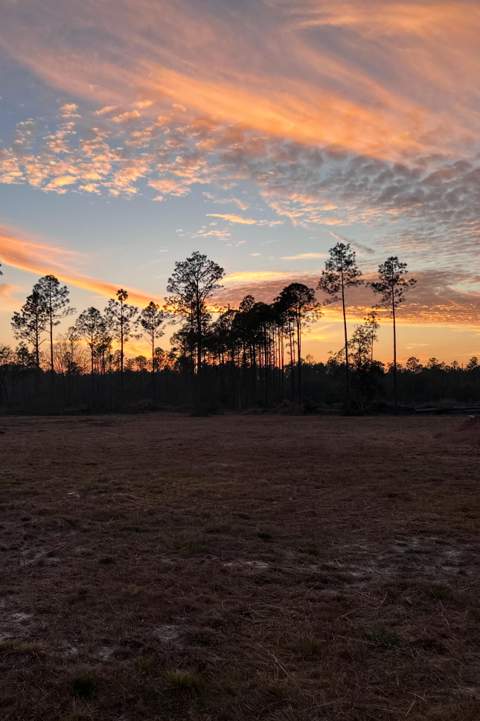 40 Acres Waverly Orchard Circle, Freeport FL - photo 17 of 24