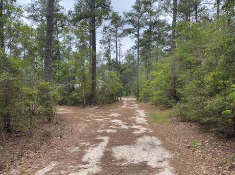 285 J W Hollington Road, Freeport FL - photo 24 of 25
