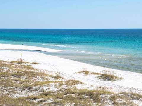 Lot 11 W Lupin Beach, Inlet Beach FL - photo 6 of 12