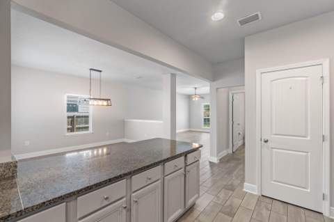 46 Tranquility Lane, Santa Rosa Beach FL - photo 14 of 38