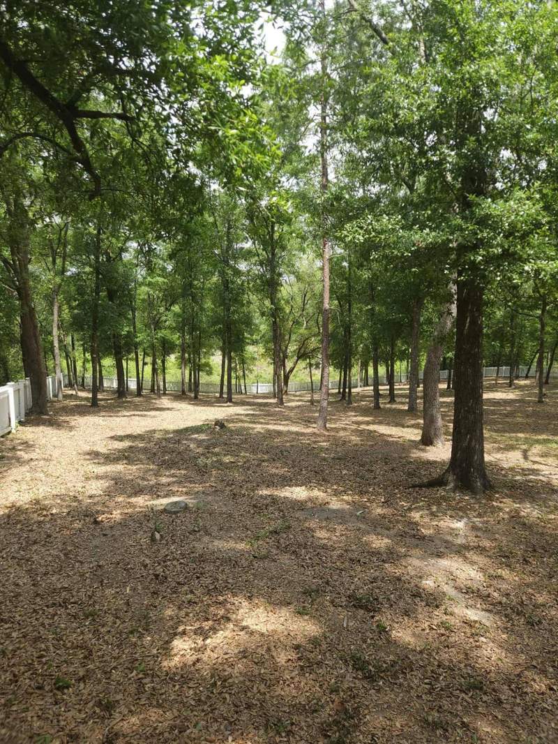 4 bedroom Detached Single Family at 134 Double L Road, Mossy Head Unit V, DeFuniak Springs — photo 4
