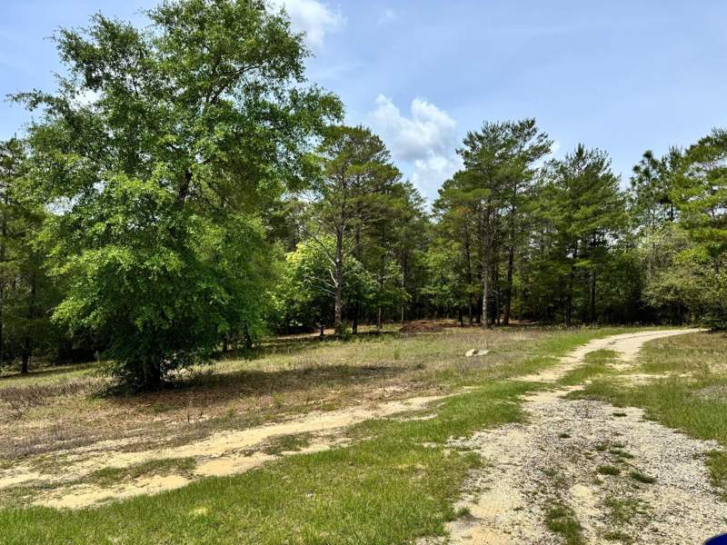 2 bedroom Detached Single Family at 994 O'Sage Drive, Hinote Commons, DeFuniak Springs — photo 4