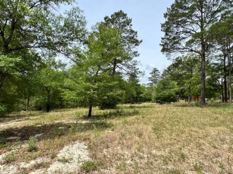 994 O'Sage Drive, DeFuniak Springs FL - photo 7 of 10
