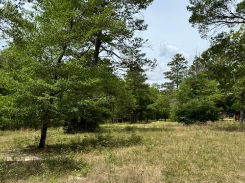 994 O'Sage Drive, DeFuniak Springs FL - photo 8 of 10