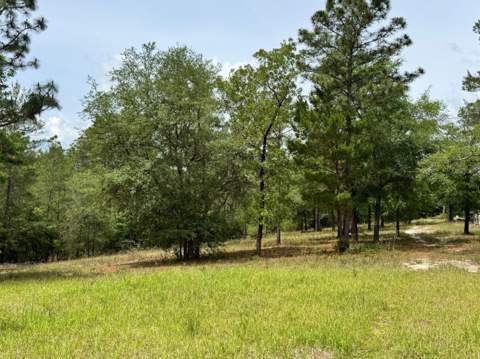 994 O'Sage Drive, DeFuniak Springs FL - photo 9 of 10