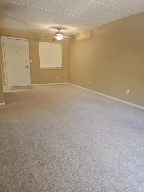 209 W Miracle Strip Parkway #D208, Mary Esther FL - photo 6 of 17