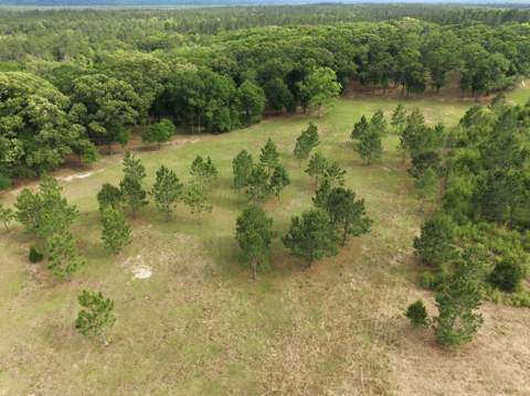 261 Wilkerson Road, DeFuniak Springs FL - photo 20 of 78