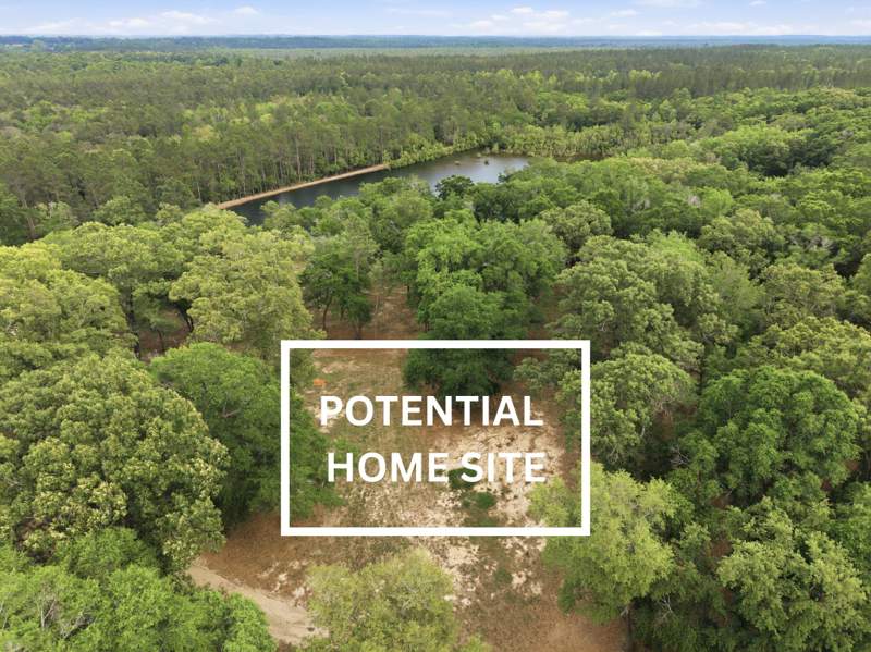 2 bedroom Farm at 261 Wilkerson Road, DeFuniak Springs, DeFuniak Springs — photo 3