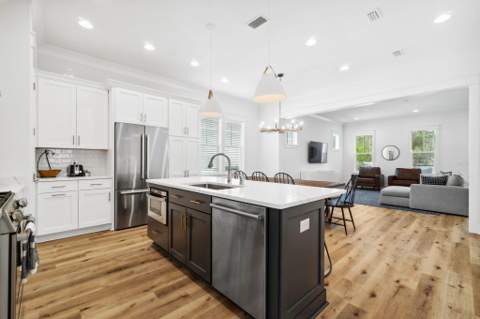 267 Log Landing Street, Inlet Beach FL - photo 9 of 48