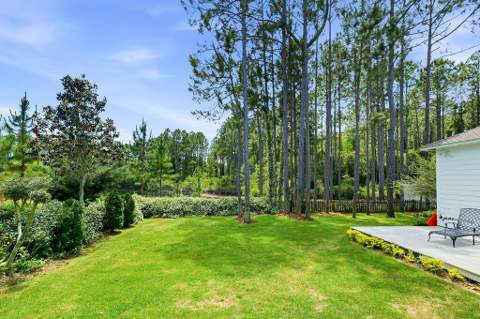 387 Medley Street, Inlet Beach FL - photo 16 of 22