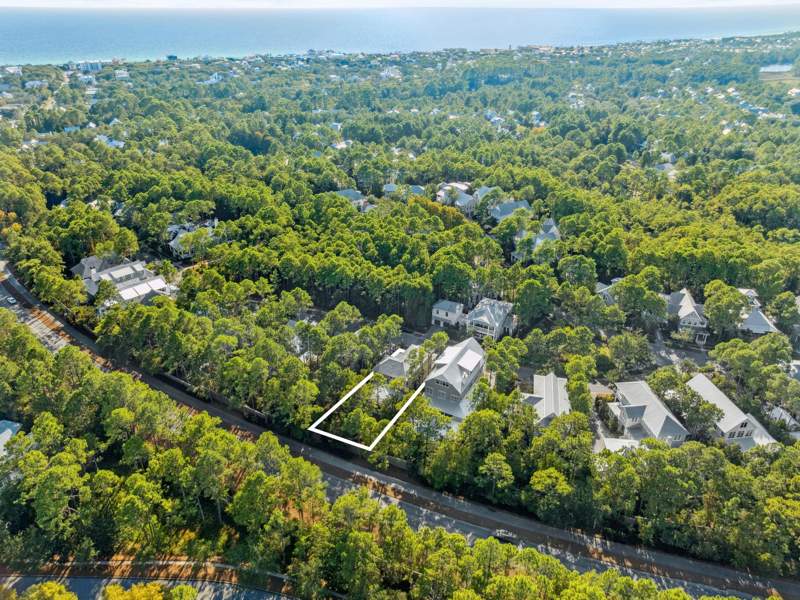 4 bedroom Detached Single Family at 144 Royal Fern Way, Watercolor, Santa Rosa Beach — photo 3