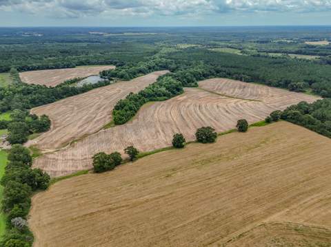 8116 Highway 393 Highway, Laurel Hill FL - photo 16 of 63