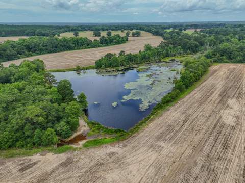 8116 Highway 393 Highway, Laurel Hill FL - photo 10 of 63