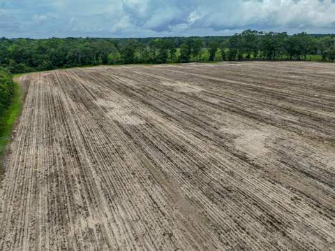 8116 Highway 393 Highway, Laurel Hill FL - photo 19 of 63