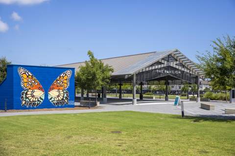68 Bunting Lane #Lot 75, Watersound FL - photo 7 of 19