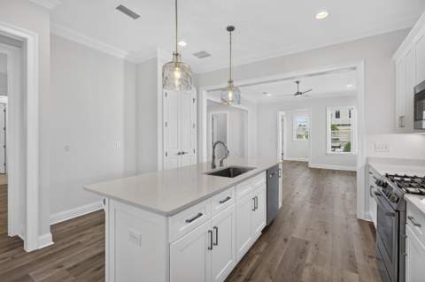 175 Suwannee Drive, Inlet Beach FL - photo 6 of 49