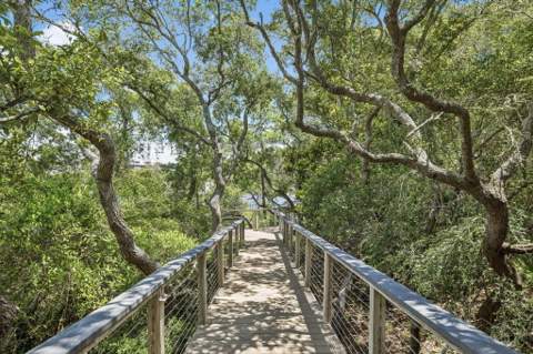 355 Blue Lake Road, Santa Rosa Beach FL - photo 24 of 65