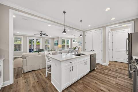 169 Windrow Way, Inlet Beach FL - photo 10 of 72