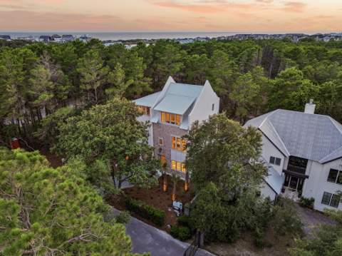 27 Chance Lane, Inlet Beach FL - photo 6 of 47