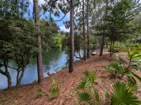 1129 Prestwick Place, Miramar Beach FL - photo 6 of 48
