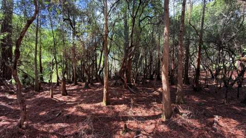 Tbd Lot 8 Gulf Hills Drive, Santa Rosa Beach FL - photo 23 of 25