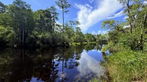 Tbd Lot 8 Gulf Hills Drive, Santa Rosa Beach FL - photo 12 of 25