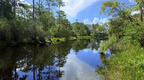Tbd Lot 8 Gulf Hills Drive, Santa Rosa Beach FL - photo 13 of 25