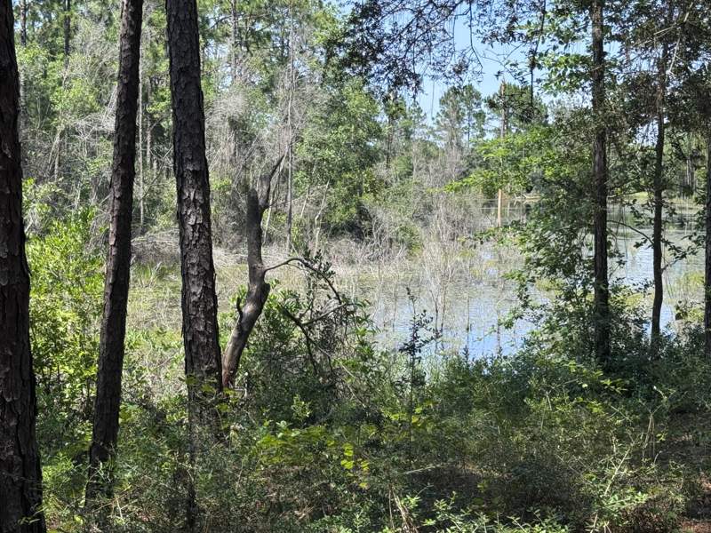 3 bedroom Detached Single Family at 1154 Oakwood Lakes Boulevard, Oakwood Lakes Estates, DeFuniak Springs — photo 4