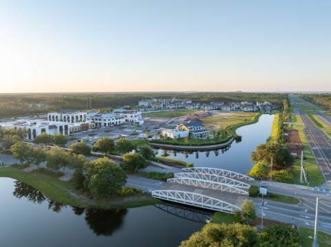 TBD Green Heron Street #Lot 68, Watersound FL - photo 18 of 40