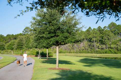 TBD Green Heron Street #Lot 68, Watersound FL - photo 19 of 40