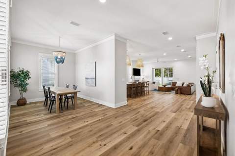 123 E Pollard Cove, Inlet Beach FL - photo 10 of 51