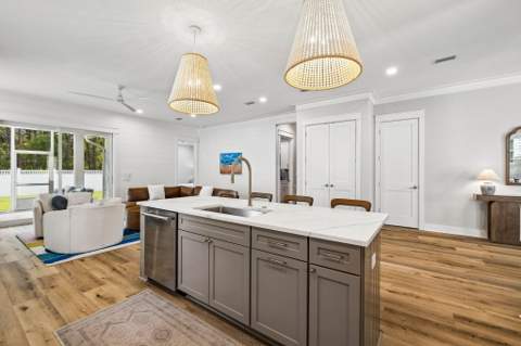 123 E Pollard Cove, Inlet Beach FL - photo 14 of 51