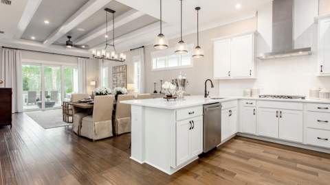 1539 Pathways Drive, Inlet Beach FL - photo 10 of 15