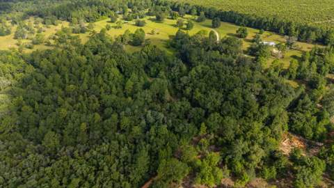 512 Hickory Tree Lane, Crestview FL - photo 13 of 26