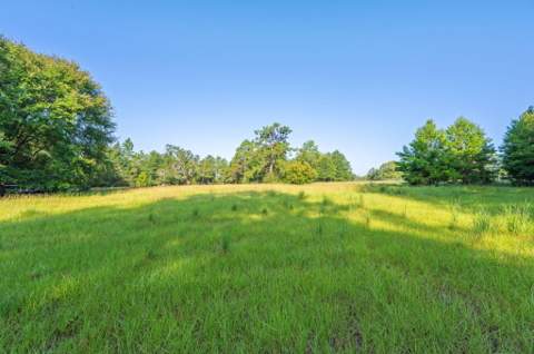 512 Hickory Tree Lane, Crestview FL - photo 19 of 26