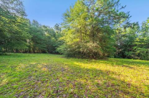 512 Hickory Tree Lane, Crestview FL - photo 23 of 26