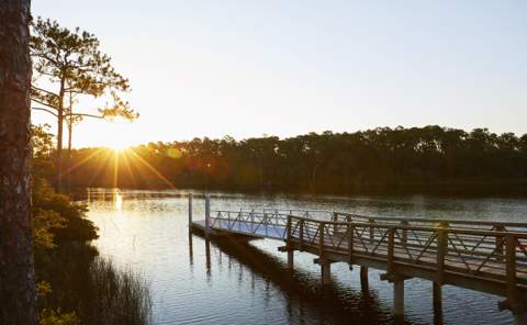 1084 Suwannee Drive #Lot 51, Watersound FL - photo 21 of 27