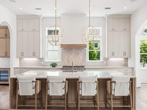 56 S Southern Cross Lane, Watersound FL - photo 8 of 50