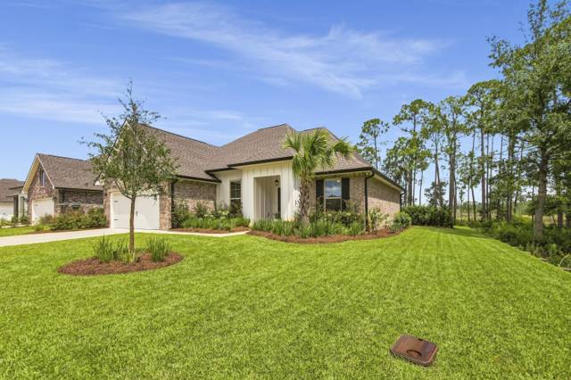 Hammock Bay - Starburst