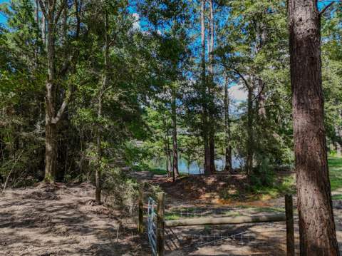 260 Wit's End Lane, DeFuniak Springs FL - photo 10 of 64