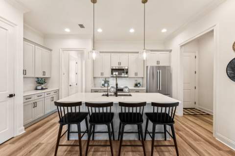 120 Suwannee Drive, Inlet Beach FL - photo 17 of 59